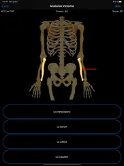 anatomie victorine iPad Captures Décran 2
