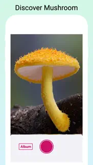 mushroomlens - fungi finder iphone images 2