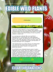 edible wild plants iPad Captures Décran 4