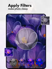 purple flower photo frames ipad images 3