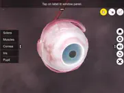 the eye (anatomy & physiology) ipad images 3