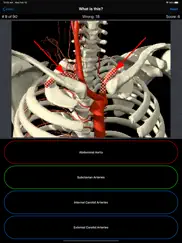 anatomy spine quiz iPad Captures Décran 4