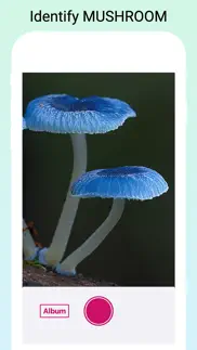mushroomlens - fungi finder iphone images 1