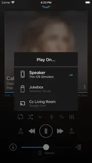 play:sub music streamer iphone images 2