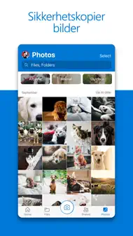 Microsoft OneDrive iphone bilder 1