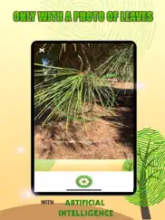 identification des arbres ia iPad Captures Décran 2