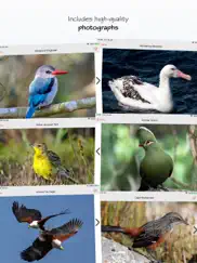 sasol ebirds south africa lite ipad images 4