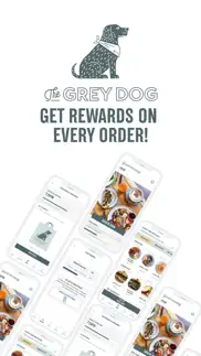 the grey dog app iphone images 1