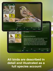 all birds uk - the photo guide ipad images 4