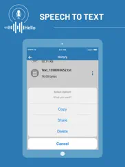speech to text - voice notes ipad images 3