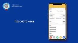 Проверка чеков ФНС России айфон картинки 3