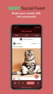 cat scanner iphone images 4