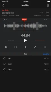 avr x pro - voice recorder iPhone Captures Décran 3