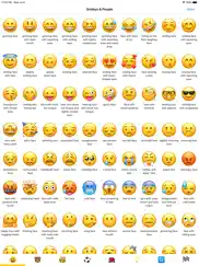 emoji meanings dictionary list ipad images 1