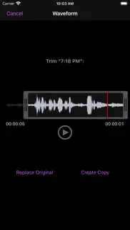 you record pro iphone images 4
