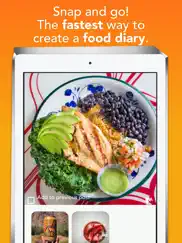 awesome meal food diet tracker ipad images 1