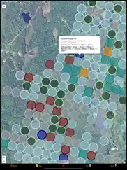 new york mushroom forager map! ipad images 2