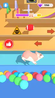 hamster maze run iphone images 2