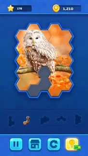 hexa jigsaw challenge iphone images 2