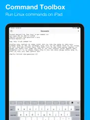 terminal emulator iPad Captures Décran 2