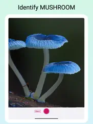 mushroomlens - fungi finder ipad images 1