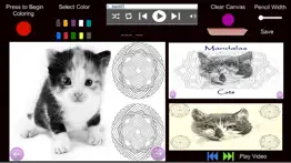 mandalas - cats iphone images 3