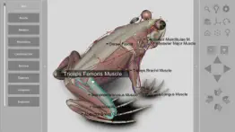 3d frog anatomy iphone bildschirmfoto 2