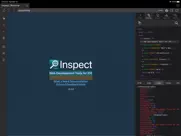 inspect browser ipad capturas de pantalla 4