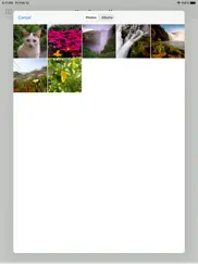 meme generator add text to pic iPad Captures Décran 3