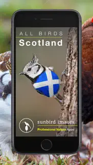 all birds scotland photo guide iphone images 1