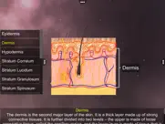 skin: integumentary system ipad images 3