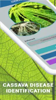 cassava plant disease identify iphone images 1