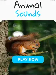 animal sounds player ipad resimleri 1