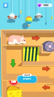 hamster maze run iphone images 1