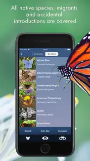 butterfly id - uk field guide iphone images 4