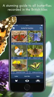 butterfly id - uk field guide iphone images 3