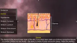 skin: integumentary system iphone images 3