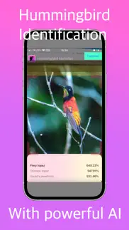 hummingbird identifier iphone images 1