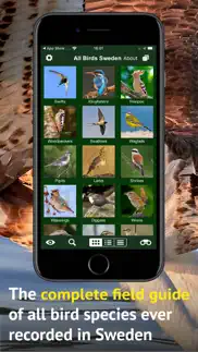 all birds sweden - photo guide iphone bildschirmfoto 2