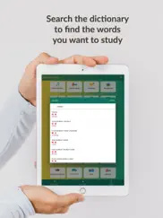 chinese vocab trainer iPad Captures Décran 4