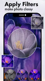purple flower photo frames iphone images 4