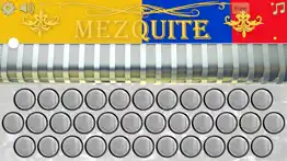 mezquite diatonic accordion iphone images 4