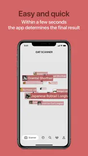 cat scanner iphone images 3