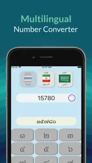 multilingual number converter iPhone Captures Décran 3