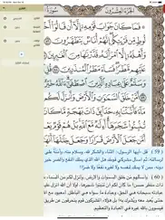 ayat: al quran القرآن الكريم ipad images 3
