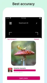 mushroomlens - fungi finder iphone images 3