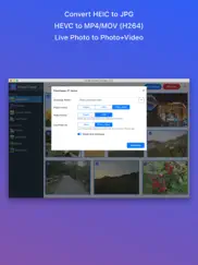 simple transfer pro - photos ipad images 4