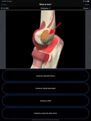 anatomy shoulder quiz iPad Captures Décran 2