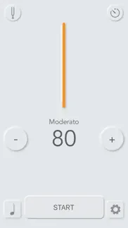 simple metronome and tuner iphone images 1