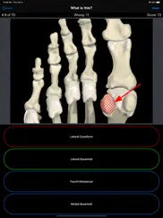 anatomy foot quiz iPad Captures Décran 3